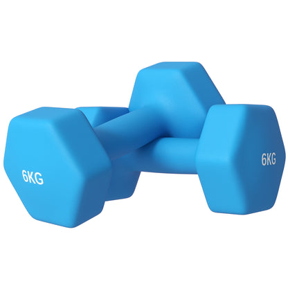 SPORTNOW Set of 2 Hexagonal Dumbbells 2x6kg in Metal and Plastic, Non-Slip Grip, 22x10x10 cm, Blue