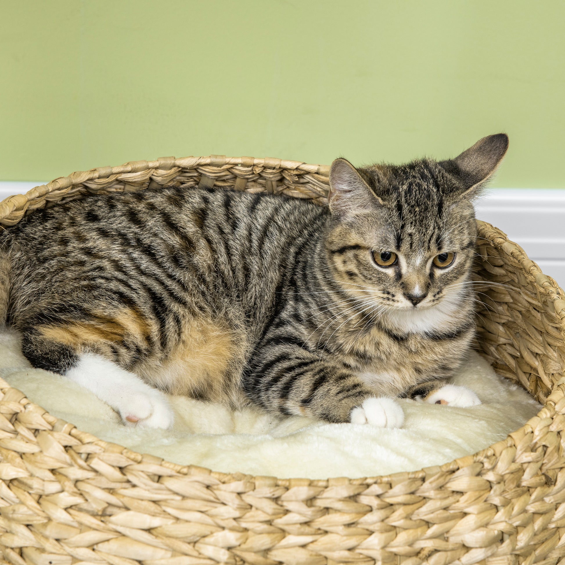 Cat Scratching Tree 2-Level Height 72 cm Sisal Post with Hideaway and Platform 1 Suspended Ball Beige
