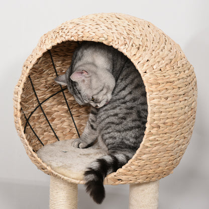 100 cm Cat Tree with Cave, Play Ball, Sisal Posts, Platform, Multi-Level Cat Scratching Tree, Climbing Tree, for Medium-Sized Cats, Beige