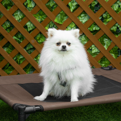 Outdoor Dog Lounger, Elevated Dog Bed for Medium Large Dogs, Sturdy Pet Cot with Washable Mesh, Cat Bed Pet Bed Sleeping Place for Outdoor Camping, 76 x 61 x 18 cm, Brown