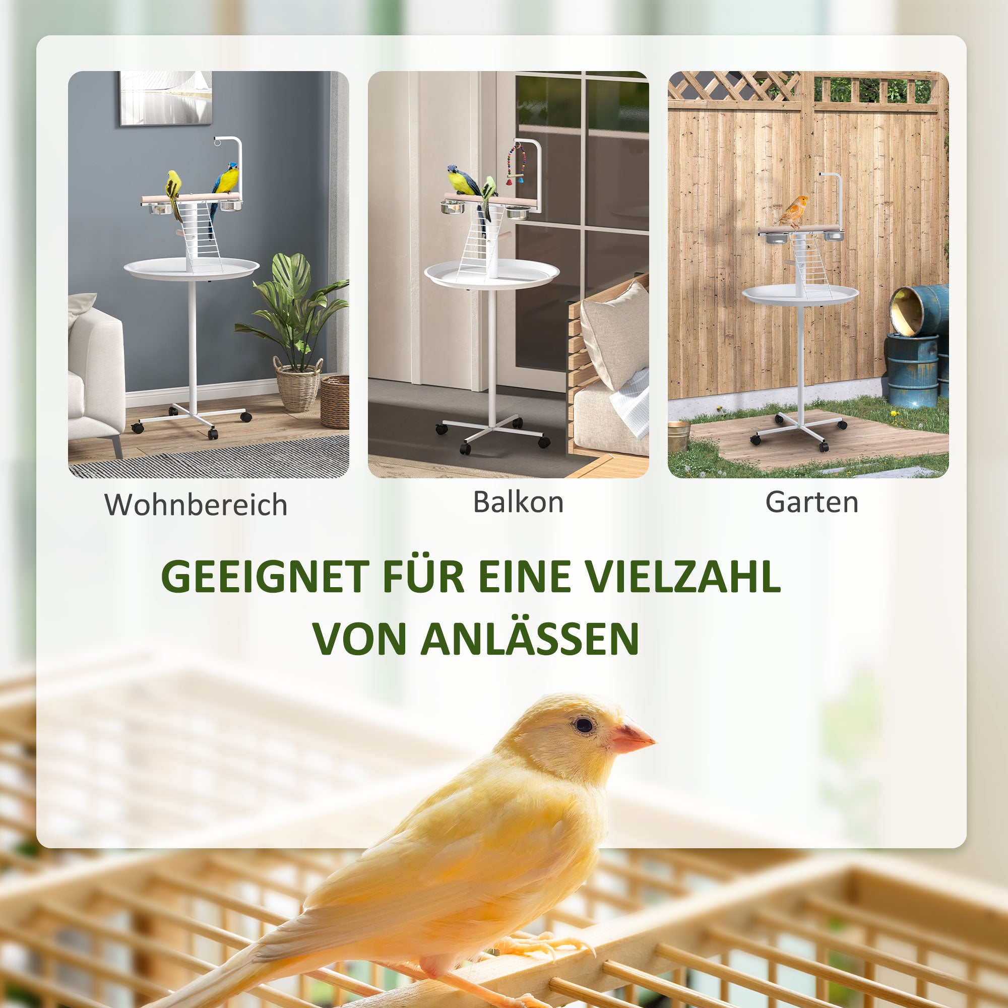 Parrot Playground with Feeding Station, Bird Feeding Station with Wheels, Perches, Bird Feeder with Ladder for Garden, Balcony, Steel, White