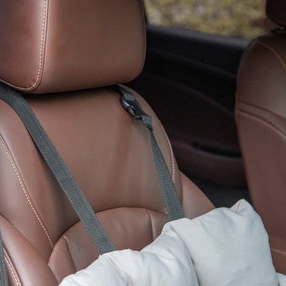 Pet Car Seat Carrier for Dogs and Cats Padded with Thick PP Cotton Safe and Comfortable Non-Slip Bottom Dark Grey 50 x 54 x 33 cm